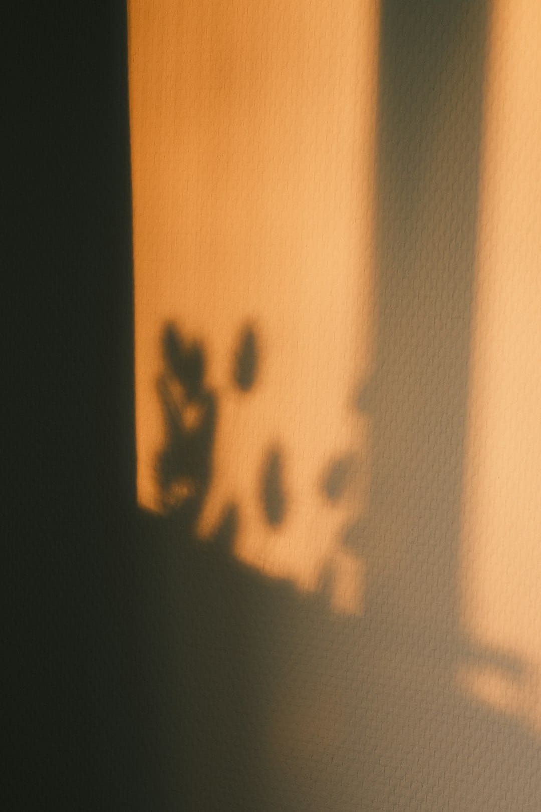 熟的猕猴桃可以放冰箱吗
